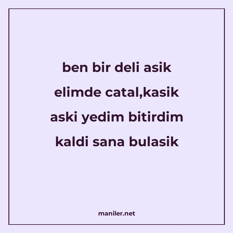ben bir deli asik elimde catal,kasik aski yedim bitirdim kal manisi görseli