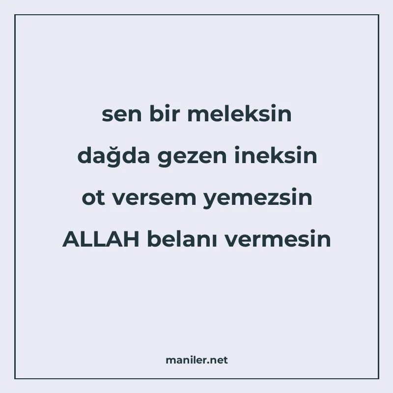 sen bir meleksin dağda gezen ineksin ot versem yemezsin ALLA manisi görseli