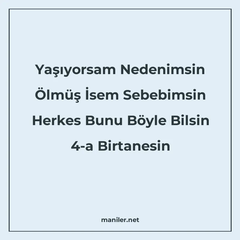 Yaşıyorsam Nedenimsin Ölmüş İsem Sebebimsin Herkes Bunu Böyl manisi görseli