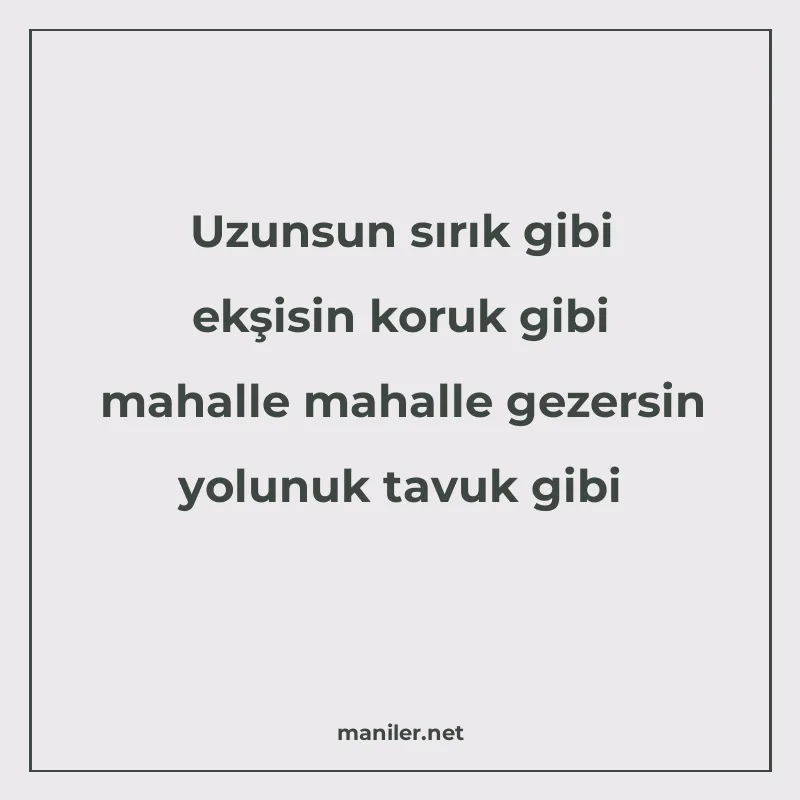 Uzunsun sırık gibi ekşisin koruk gibi mahalle mahalle gezers manisi görseli