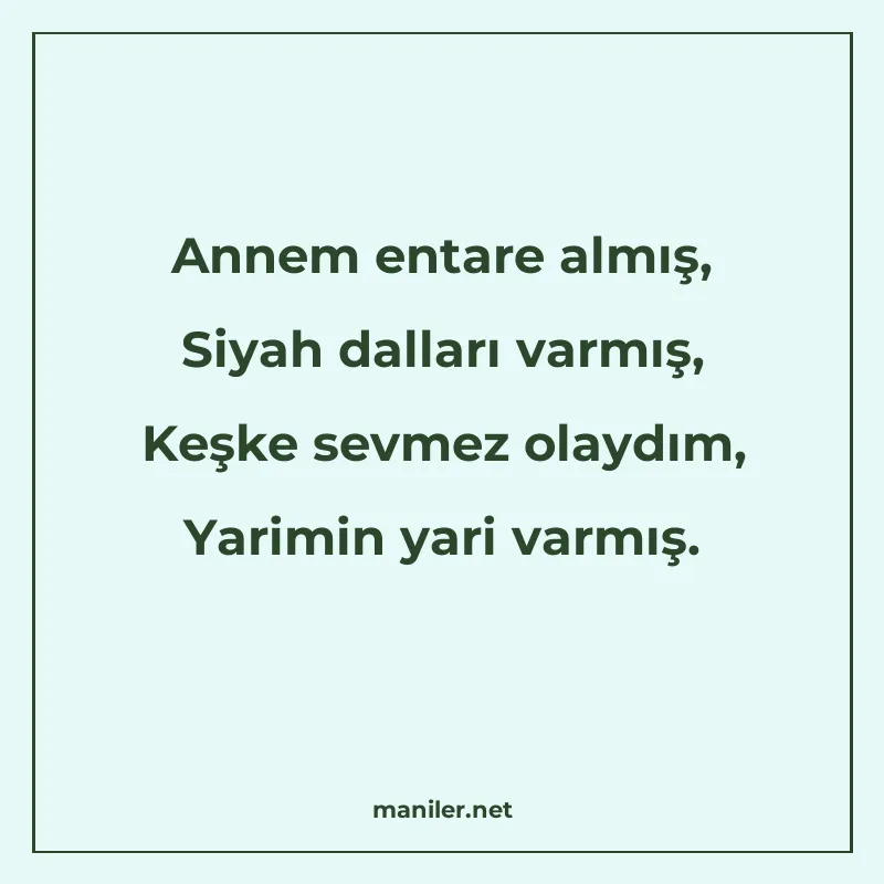 Annem entare almış, Siyah dalları varmış, Keşke sevmez olayd manisi görseli