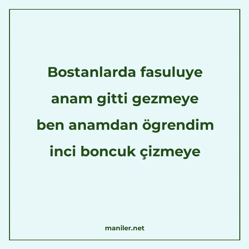 Bostanlarda fasuluye anam gitti gezmeye ben anamdan ögrendim manisi görseli