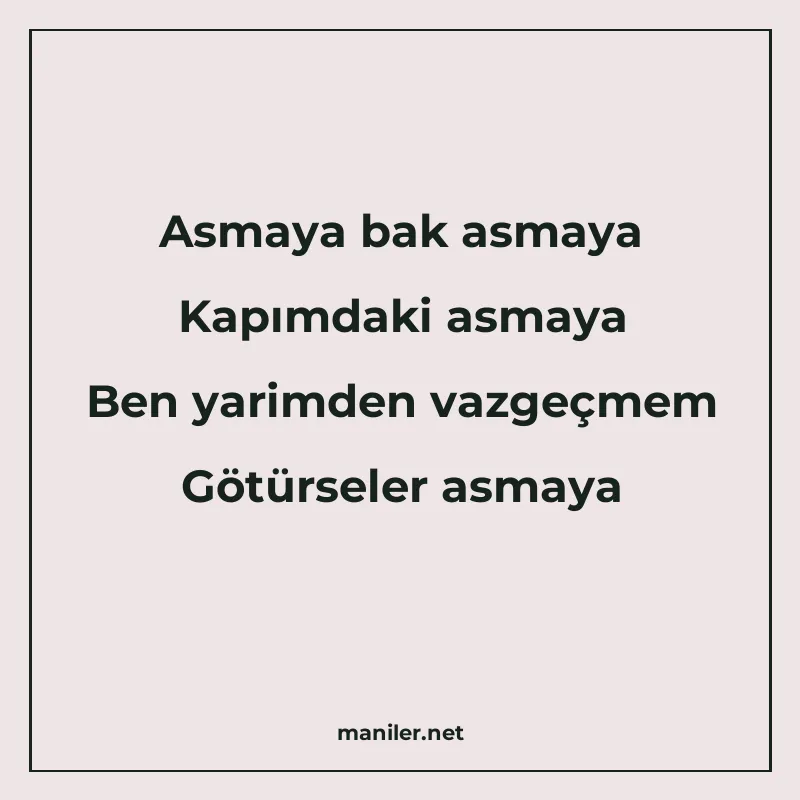 Asmaya bak asmaya Kapımdaki asmaya Ben yarimden vazgeçmem Gö manisi görseli
