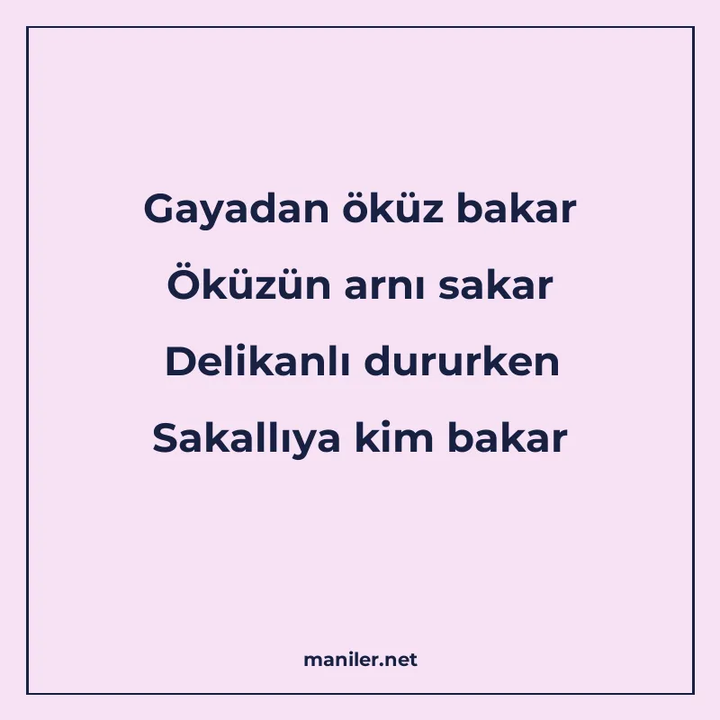 Gayadan öküz bakar Öküzün arnı sakar Delikanlı dururken Saka manisi görseli