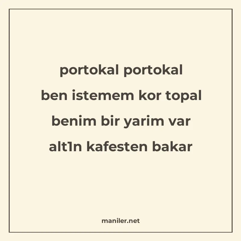 portokal portokal ben istemem kor topal benim bir yarim var manisi görseli