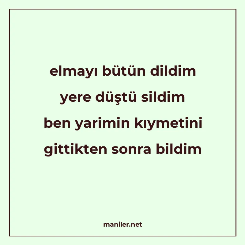 elmayı bütün dildim yere düştü sildim ben yarimin kıymetini manisi görseli