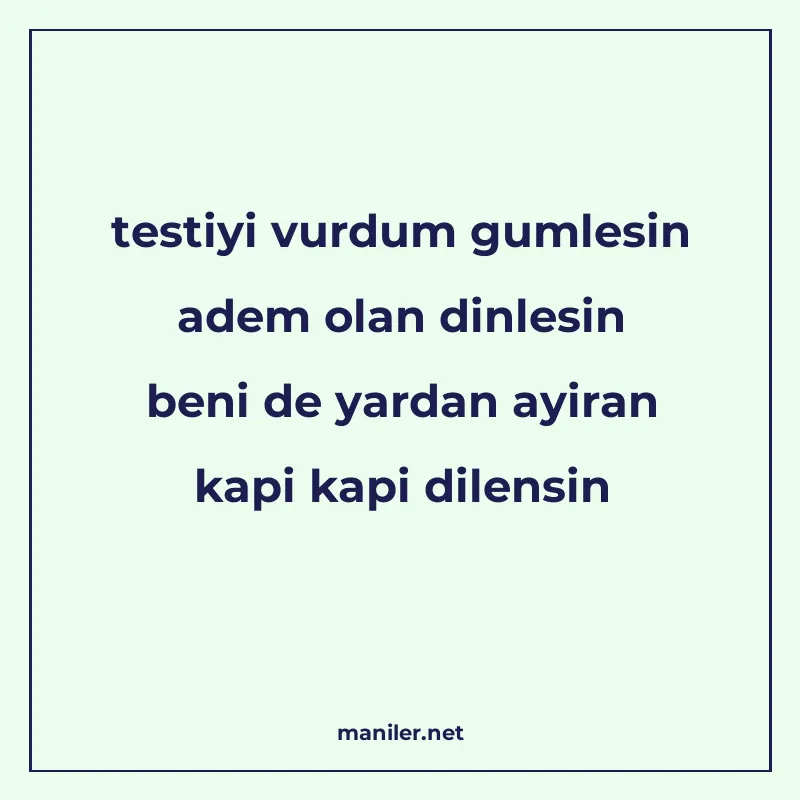 testiyi vurdum gumlesin adem olan dinlesin beni de yardan ay manisi görseli