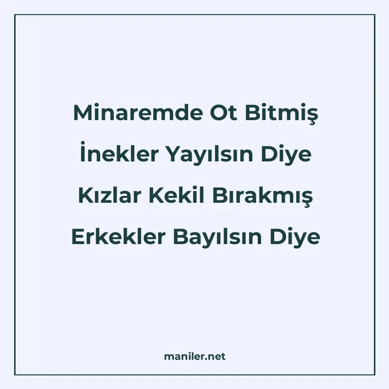 Minaremde Ot Bitmiş İnekler Yayılsın Diye Kızlar Kekil Bırak manisi görseli