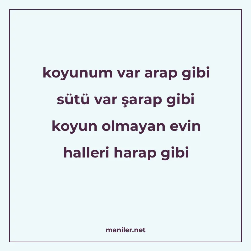 koyunum var arap gibi sütü var şarap gibi koyun olmayan evin manisi görseli