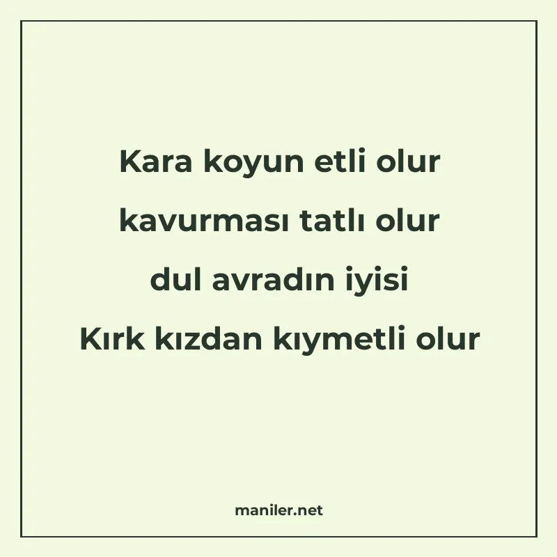Kara koyun etli olur kavurması tatlı olur dul avradın iyisi manisi görseli