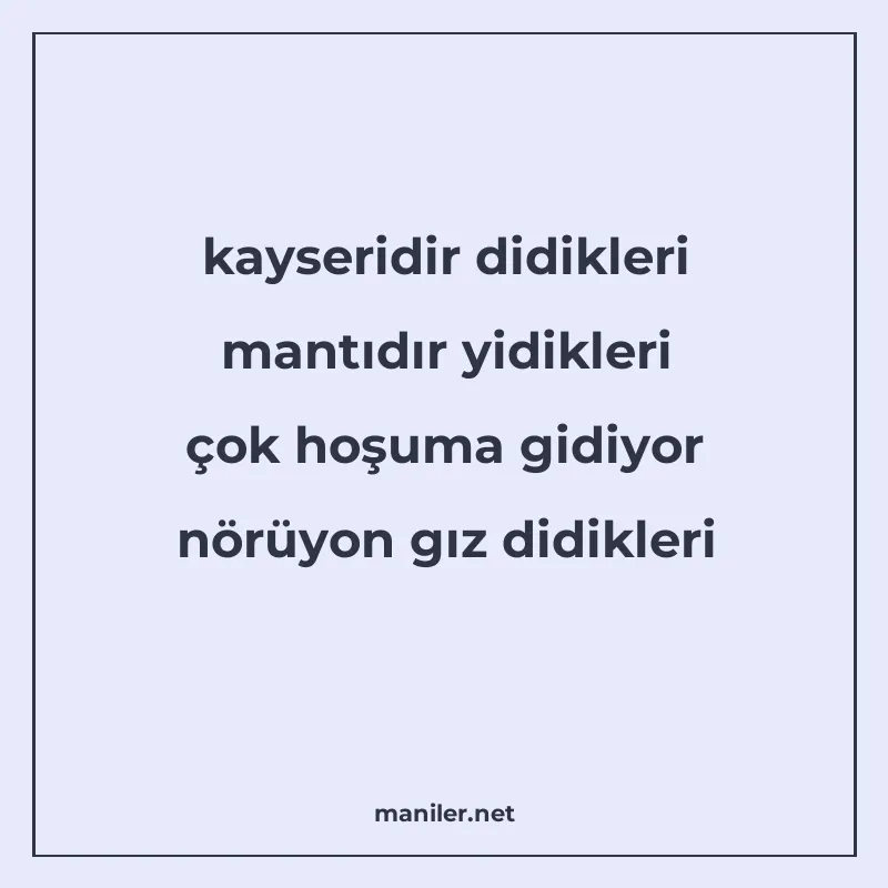 kayseridir didikleri mantıdır yidikleri çok hoşuma gidiyor n manisi görseli
