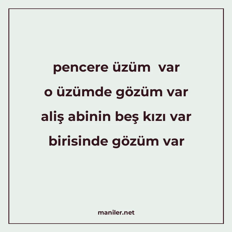 pencere üzüm var o üzümde gözüm var aliş abinin beş kızı var manisi görseli