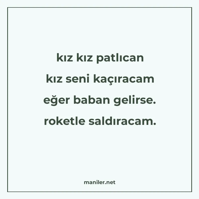 kız kız patlıcan kız seni kaçıracam eğer baban gelirse. roke manisi görseli