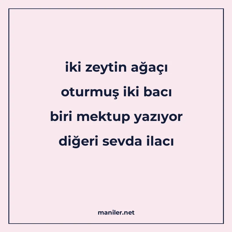 iki zeytin ağaçı oturmuş iki bacı biri mektup yazıyor diğeri manisi görseli