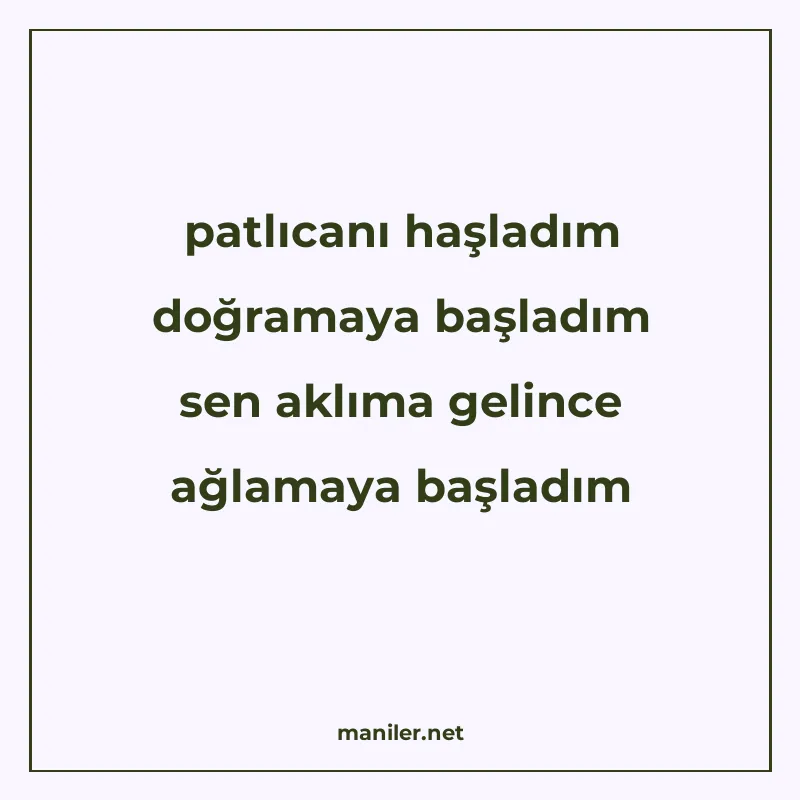 patlıcanı haşladım doğramaya başladım sen aklıma gelince ağl manisi görseli