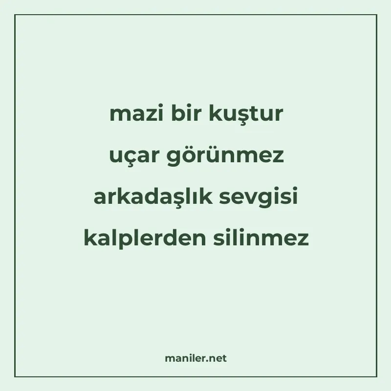 mazi bir kuştur uçar görünmez arkadaşlık sevgisi kalplerden manisi görseli