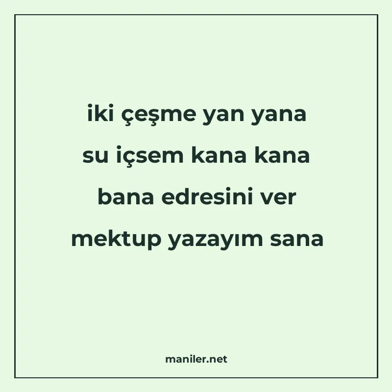 iki çeşme yan yana su içsem kana kana bana edresini ver mekt manisi görseli