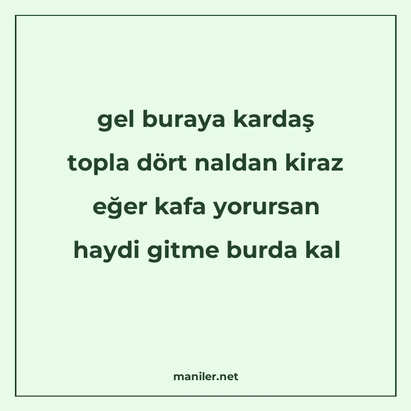 gel buraya kardaş topla dört naldan kiraz eğer kafa yorursan manisi görseli