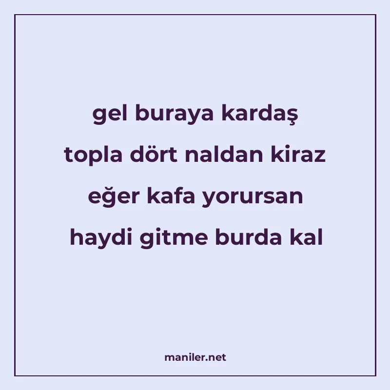gel buraya kardaş topla dört naldan kiraz eğer kafa yorursan manisi görseli