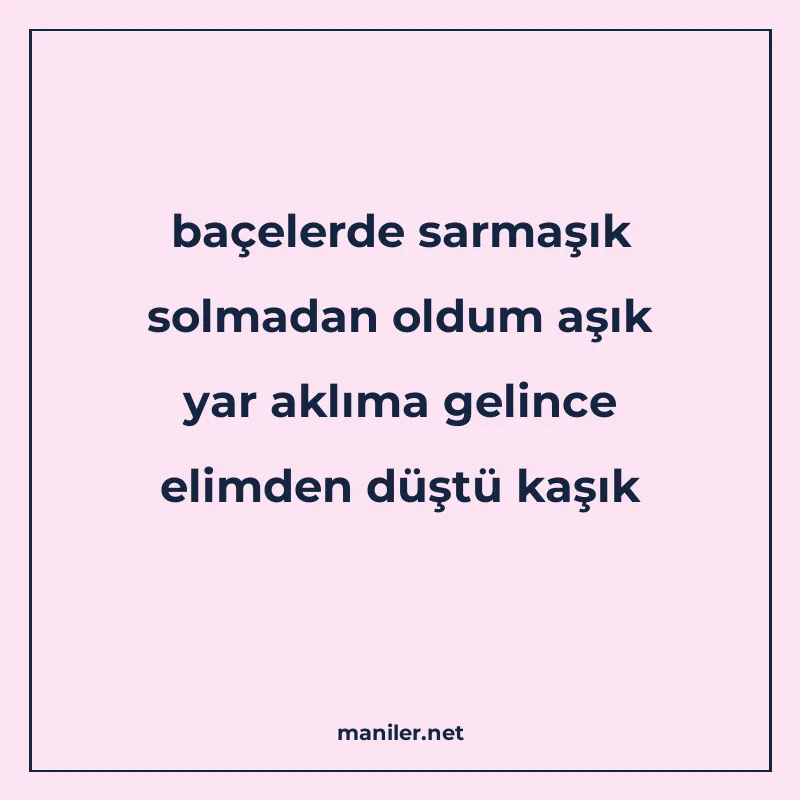 baçelerde sarmaşık solmadan oldum aşık yar aklıma gelince el manisi görseli