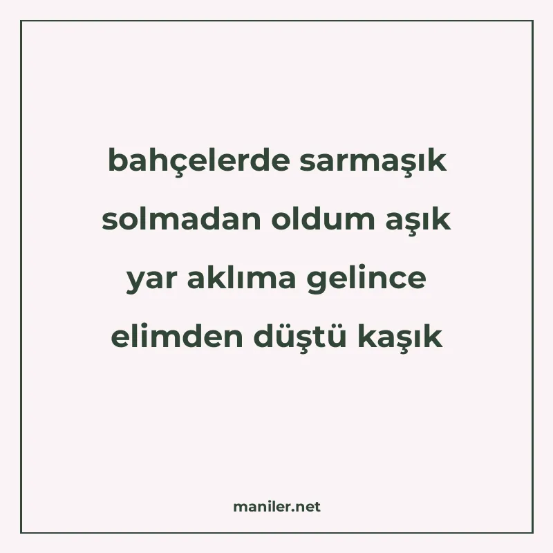 bahçelerde sarmaşık solmadan oldum aşık yar aklıma gelince e manisi görseli