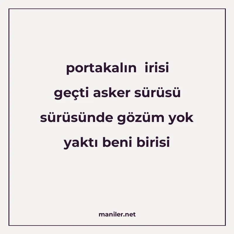 portakalın irisi geçti asker sürüsü sürüsünde gözüm yok yakt manisi görseli