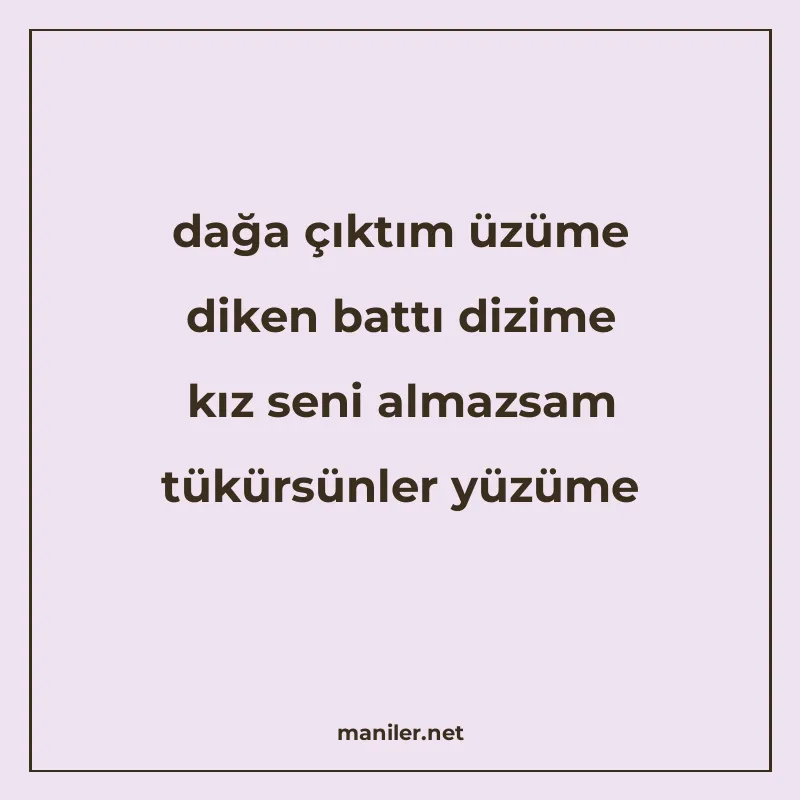 dağa çıktım üzüme diken battı dizime kız seni almazsam tükür manisi görseli