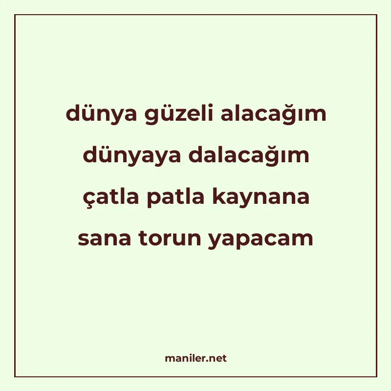 dünya güzeli alacağım dünyaya dalacağım çatla patla kaynana manisi görseli