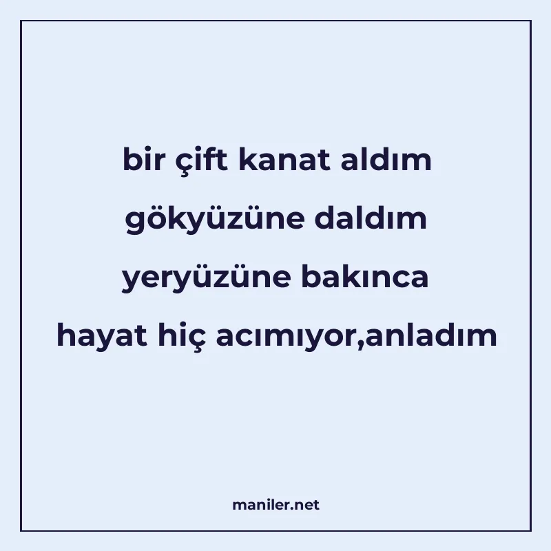 bir çift kanat aldım gökyüzüne daldım yeryüzüne bakınca haya manisi görseli