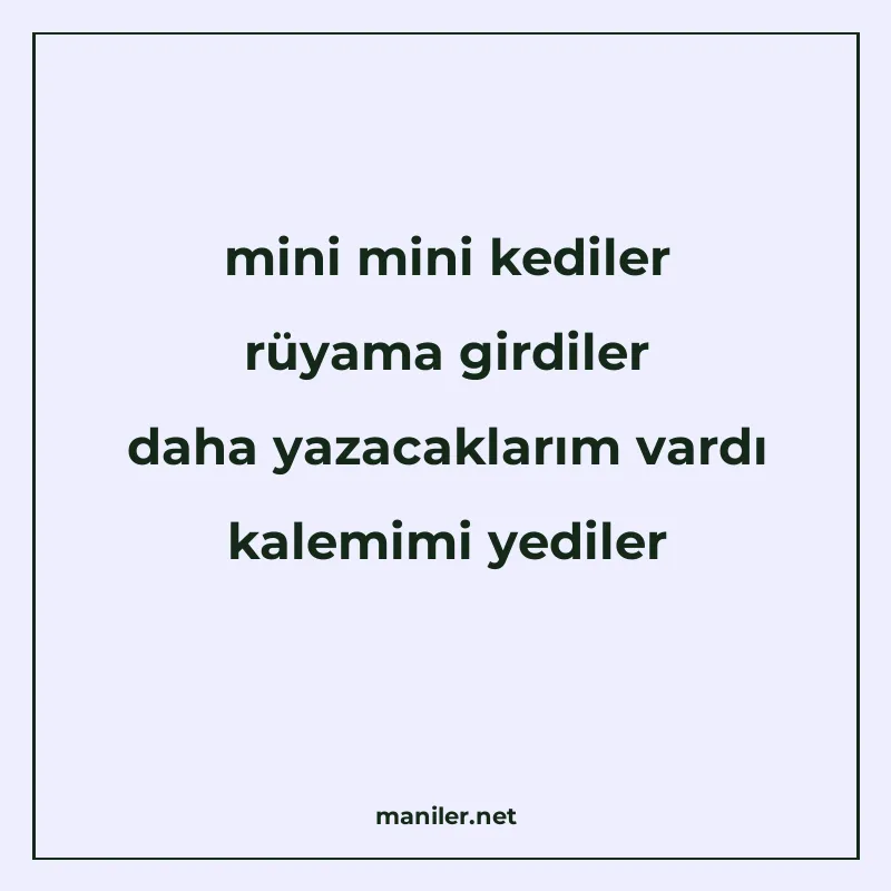 mini mini kediler rüyama girdiler daha yazacaklarım vardı ka manisi görseli