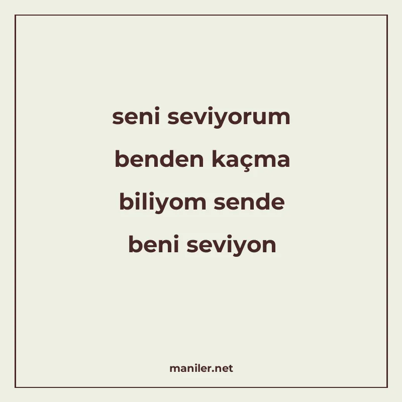 seni seviyorum benden kaçma biliyom sende beni seviyon manisi görseli