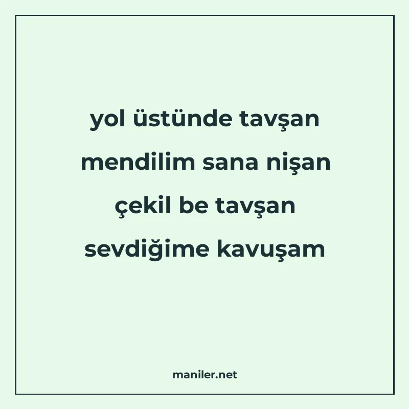 yol üstünde tavşan mendilim sana nişan çekil be tavşan sevdi manisi görseli