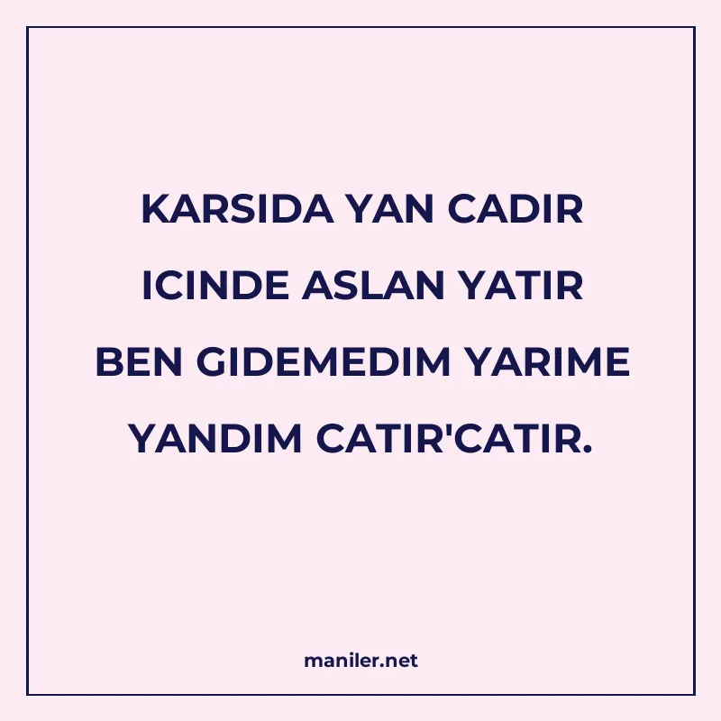 KARSIDA YAN CADIR ICINDE ASLAN YATIR BEN GIDEMEDIM YARIME YA manisi görseli