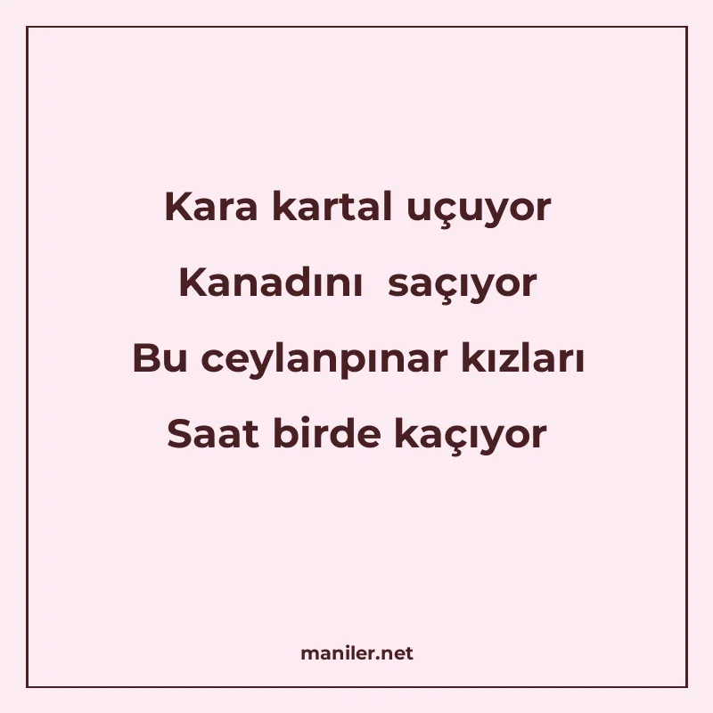 Kara kartal uçuyor Kanadını saçıyor Bu ceylanpınar kızları S manisi görseli