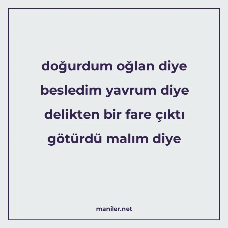 doğurdum oğlan diye besledim yavrum diye delikten bir fare ç manisi görseli