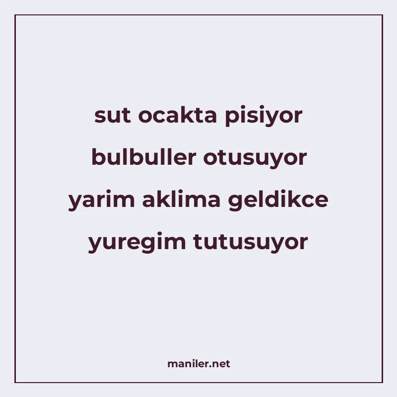 sut ocakta pisiyor bulbuller otusuyor yarim aklima geldikce manisi görseli
