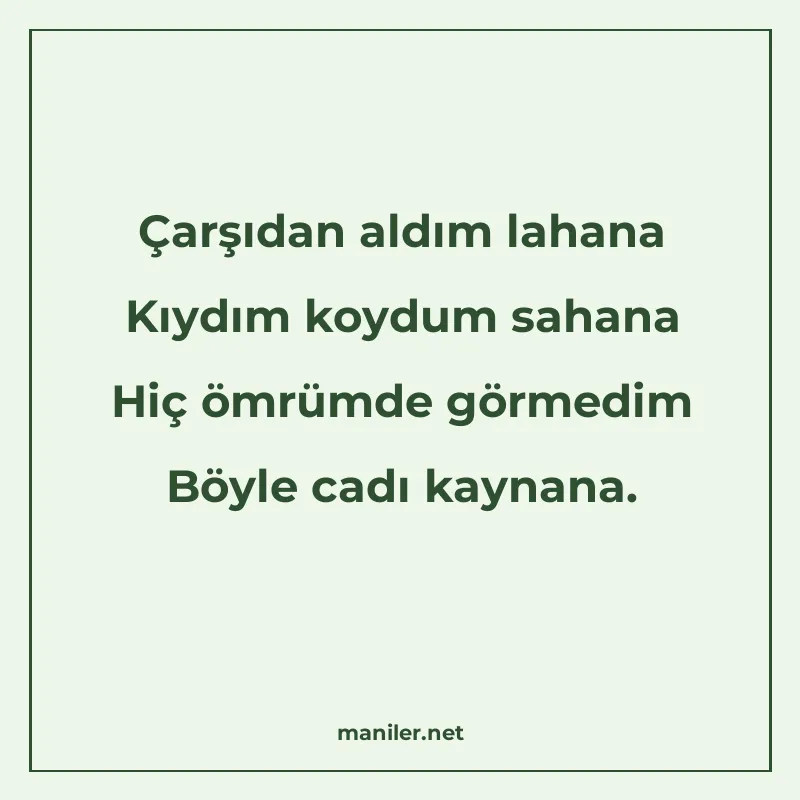 Çarşıdan aldım lahana Kıydım koydum sahana Hiç ömrümde görme manisi görseli