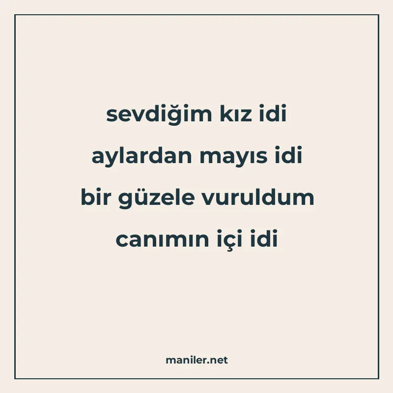 sevdiğim kız idi aylardan mayıs idi bir güzele vuruldum canı manisi görseli