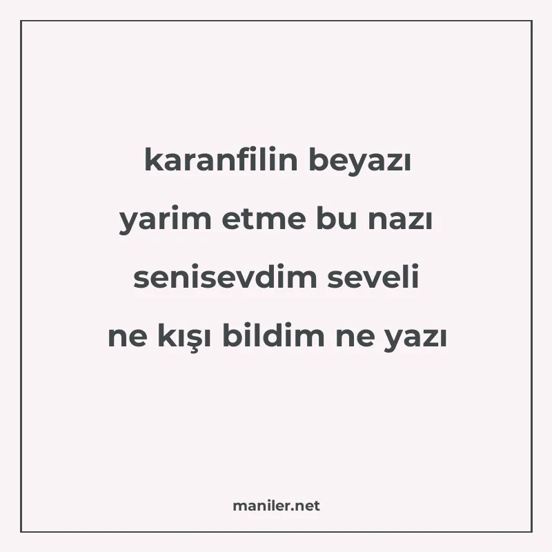 karanfilin beyazı yarim etme bu nazı senisevdim seveli ne kı manisi görseli