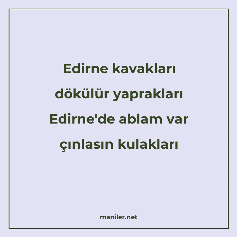 Edirne kavakları dökülür yaprakları Edirne'de ablam var manisi görseli