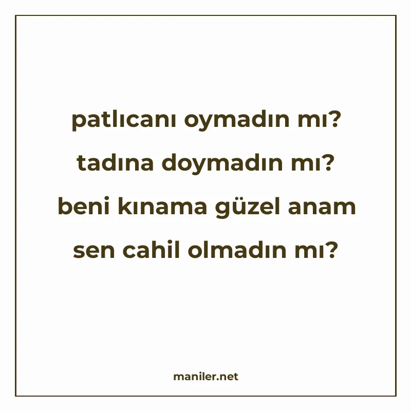 patlıcanı oymadın mı? tadına doymadın mı? beni kınama güzel manisi görseli