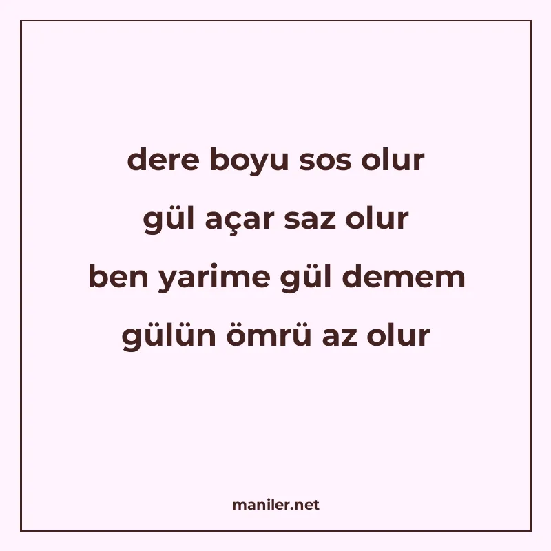 dere boyu sos olur gül açar saz olur ben yarime gül demem gü manisi görseli