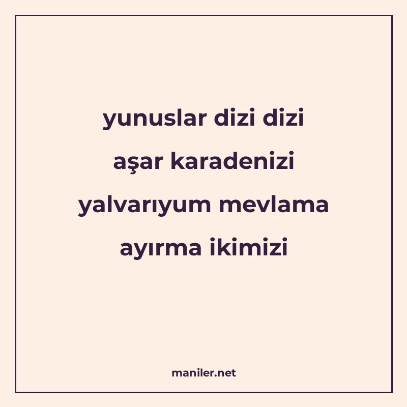 yunuslar dizi dizi aşar karadenizi yalvarıyum mevlama ayırma manisi görseli