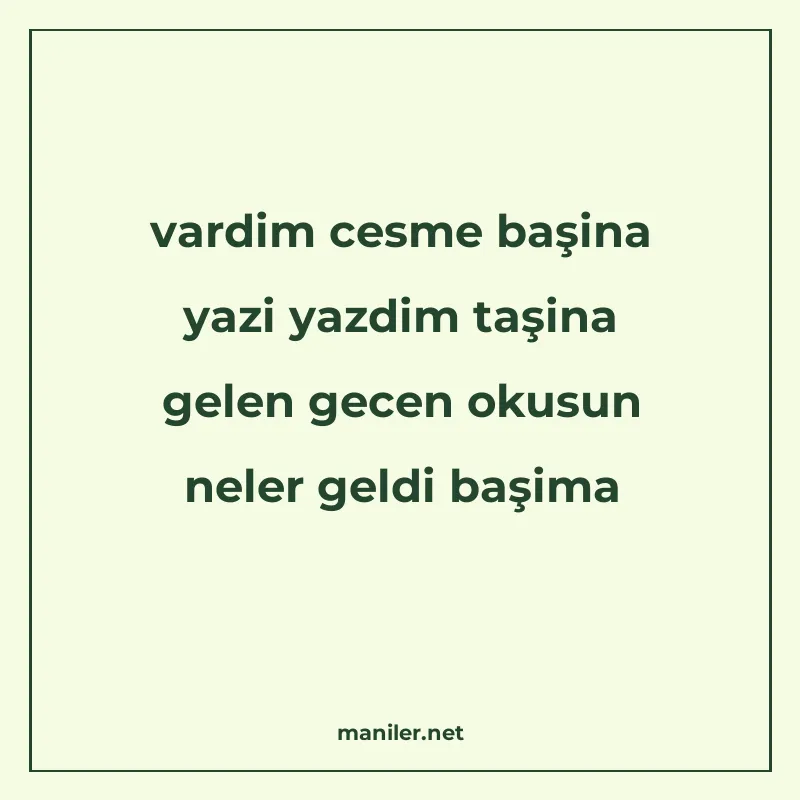 vardim cesme başina yazi yazdim taşina gelen gecen okusun ne manisi görseli