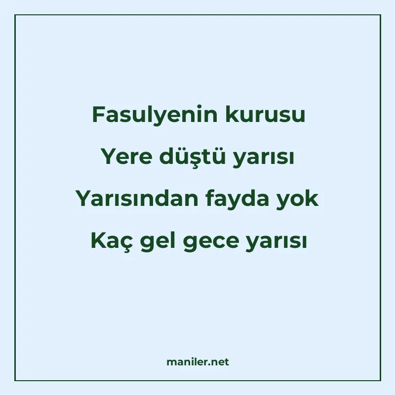 Fasulyenin kurusu Yere düştü yarısı Yarısından fayda yok Kaç manisi görseli