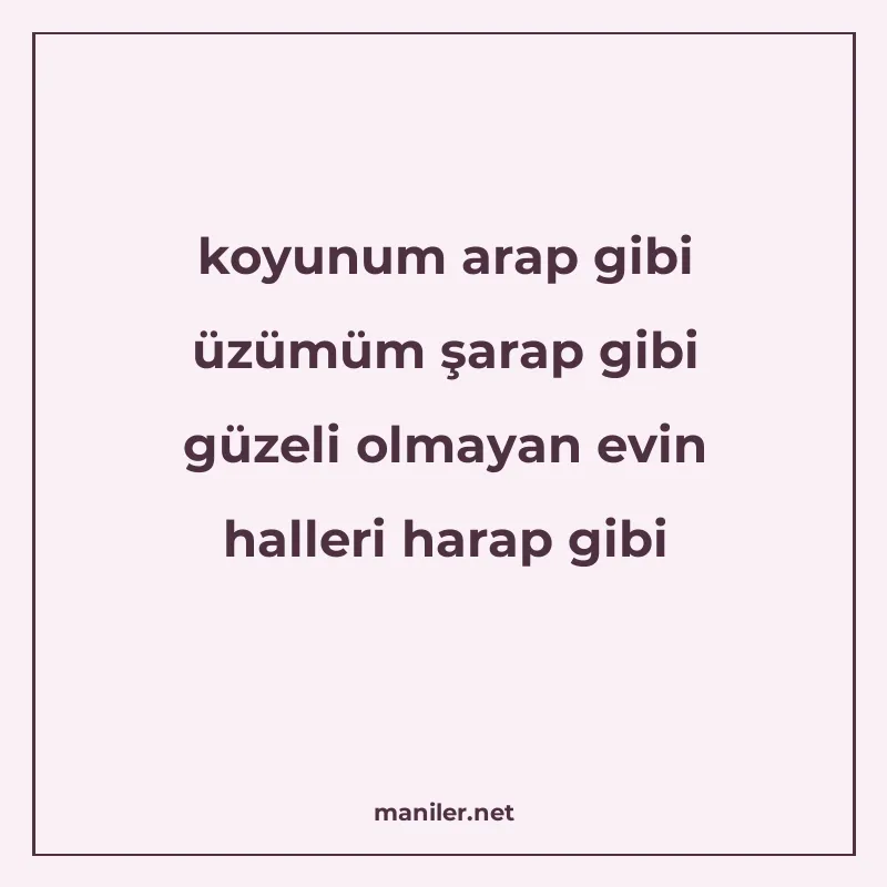 koyunum arap gibi üzümüm şarap gibi güzeli olmayan evin hall manisi görseli