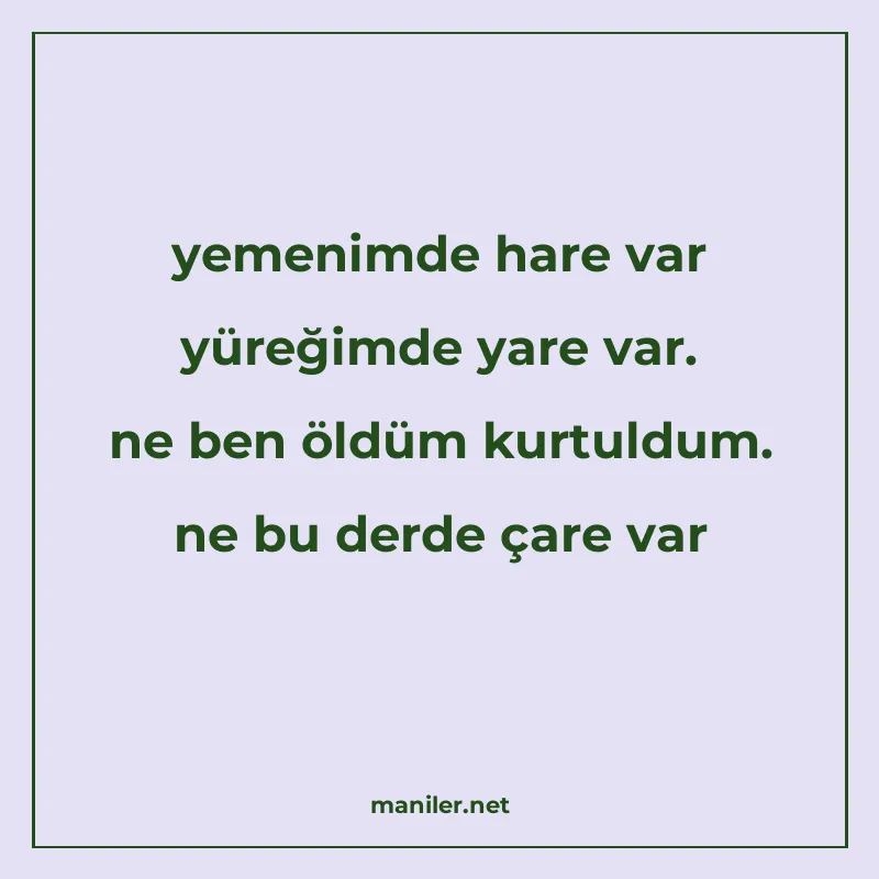 yemenimde hare var yüreğimde yare var. ne ben öldüm kurtuldu manisi görseli