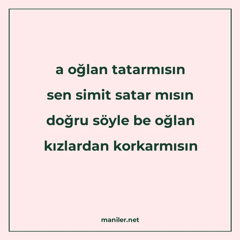 a oğlan tatarmısın sen simit satar mısın doğru söyle be oğla manisi görseli