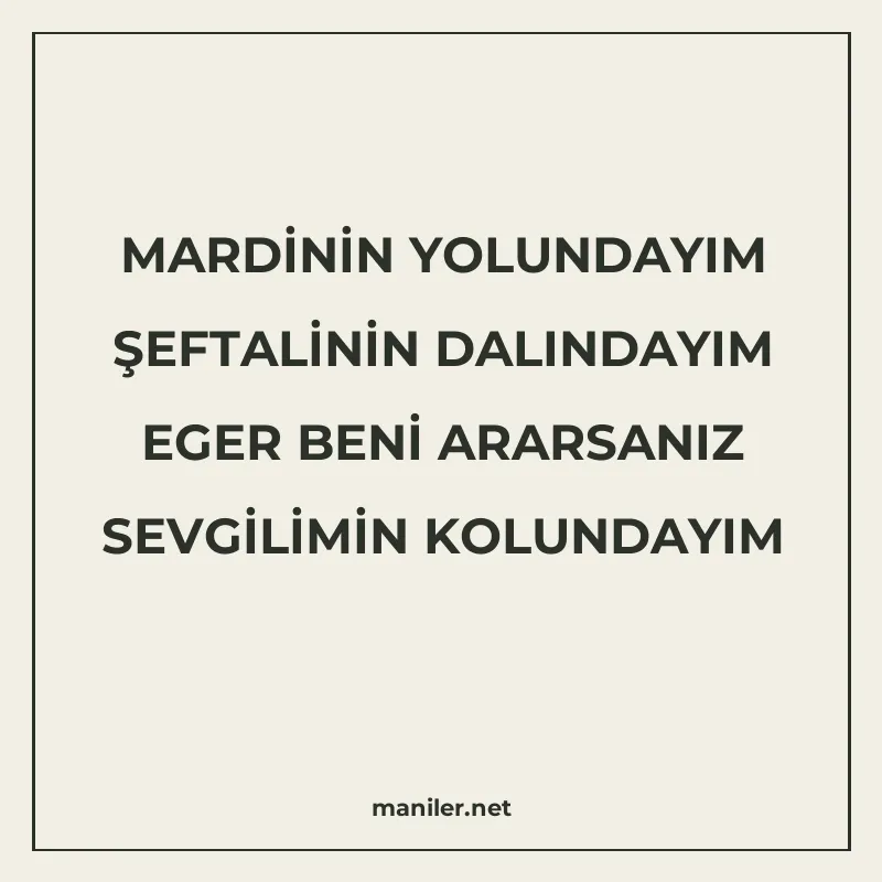 MARDİNİN YOLUNDAYIM ŞEFTALİNİN DALINDAYIM EGER BENİ ARARSANI manisi görseli