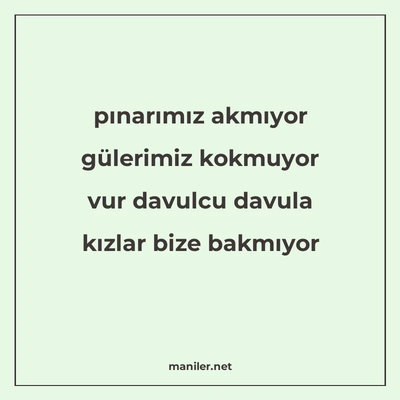 pınarımız akmıyor gülerimiz kokmuyor vur davulcu davula kızl manisi görseli